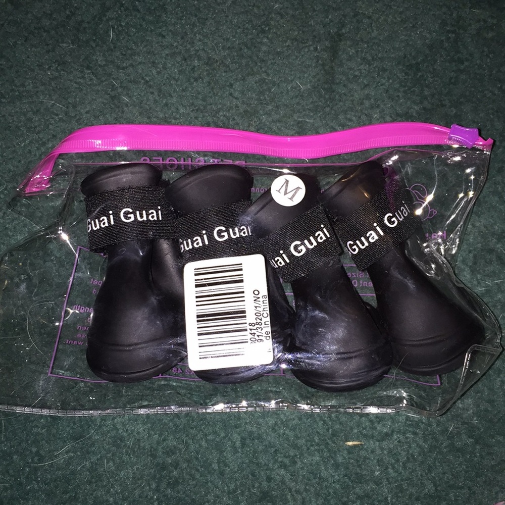 Black dog shoes